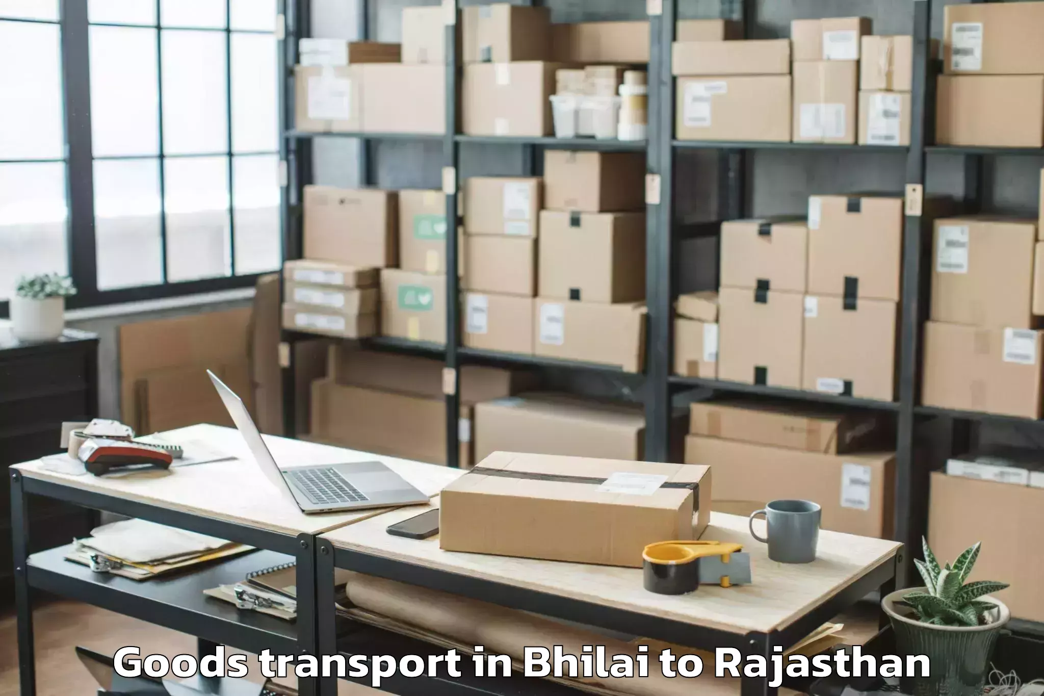 Trusted Bhilai to Jamwa Ramgarh Goods Transport